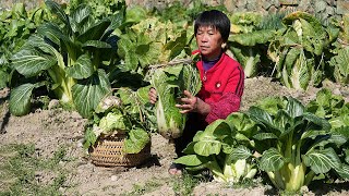 阿嬷做朝鲜族泡菜，酸辣开胃清脆爽口，南方小土豆也爱吃东北辣白菜｜radish【闽湖阿嬤Fujian Grandma】 [upl. by Mellitz]