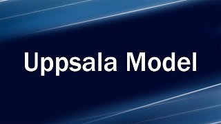 Uppsala Model In Internationalizing [upl. by Adym]