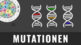 Mutationsarten  Genmutation Genommutation Chromosomenmutation  Biologie kurz erklärt [upl. by Gelya]