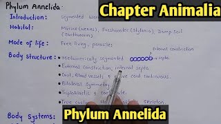 Phylum Annelida Characters And Classification Fully Explain In Hindi Urdu [upl. by Nyladgam506]