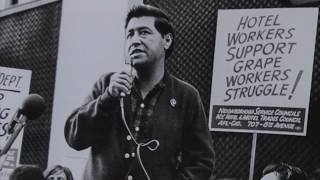 Cesar Chavez  Champion for Civil Rights  Childrens Biography [upl. by Annoval]