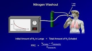 Lung Protective Ventilation [upl. by Faulkner23]