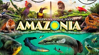 Zoo Tours Amazonia  Smithsonian National Zoo [upl. by Ecnerrat951]