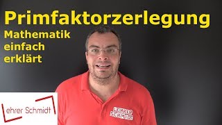 Primfaktorzerlegung  Bruchrechnung  Mathematik  einfach erklärt  Lehrerschmidt [upl. by Namolos928]