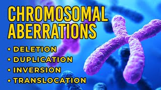 Genetic Recombination and Gene Mapping [upl. by Kettie]