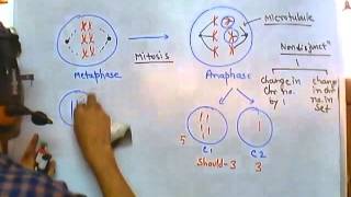 Inheritance of XLinked Genes [upl. by Molli]