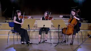 A Borodin String Trio in G minor [upl. by Noside]