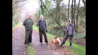 CHASSE A LA BECASSE  CENTRE BRETAGNE Décembre 2015 [upl. by Ansaev]