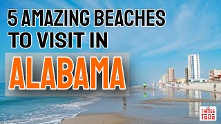 5 Amazing Beaches To Visit in Alabama [upl. by Cordier141]