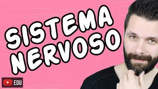 SISTEMA NERVOSO  FISIOLOGIA  Aula  Biologia com Samuel Cunha [upl. by Sverre]