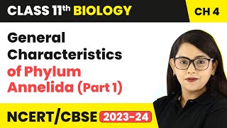 General Characteristics of Phylum Annelida Part 1  Class 11 Biology Chapter 4  NCERTCBSE [upl. by Eimak]