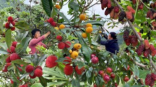 果蔬饮合集：各种水果大丰收，做8种夏日饮料，鲜甜清爽冰凉解暑｜fruit and vegetable drinks【闽湖阿嬤Fujian Grandma】 [upl. by Skier]