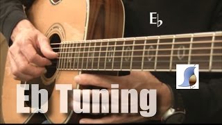 E flat tuning 12 step down for Guitar [upl. by Laynad]