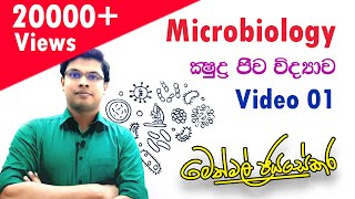 ක්‍ෂුද්‍රජීව විද්‍යාව  Microbiology  Video 01  AL Biology [upl. by Nodnarb]