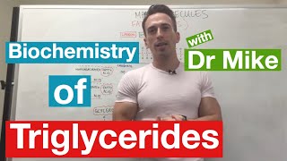 Unsaturated vs Saturated vs Trans Fats Animation [upl. by Anthony]