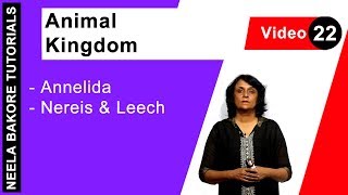 Animal Kingdom  NEET  Annelida  Nereis amp Leech  Neela Bakore Tutorials [upl. by Elamrej]