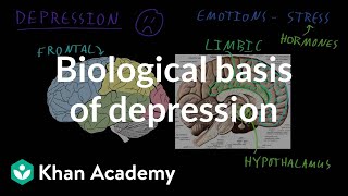 Biological basis of depression  Behavior  MCAT  Khan Academy [upl. by Siol]