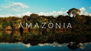 AMAZÔNIA  Viagem pela Floresta Amazônica Brasil  4K Ultra HD [upl. by Hareemas282]