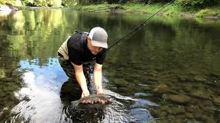 Are Spoons the Best Trout Lure Tactics amp Benefits [upl. by Nylecaj176]