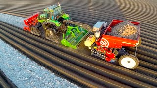 Potato Planting  DeutzFahr Agrotron 7250 TTV on RowCrop Tracks  Dewulf Miedema belt planter [upl. by Cranston571]