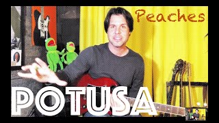 Guitar Lesson How To Play Peaches by Presidents Of The United States Of America [upl. by Gnoz]