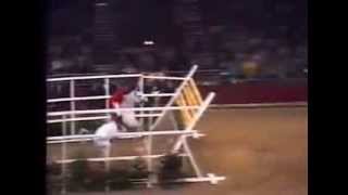 World Record Horse High Jump 2 32 meters [upl. by Gherlein]