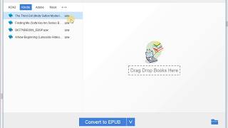 How to Remove DRM from Kindle PC Mac Desktop 2019  Epubor Studio [upl. by Dawkins936]