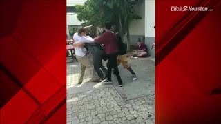 Video surfaces of Parkland suspected shooter fighting at school [upl. by Shalne55]