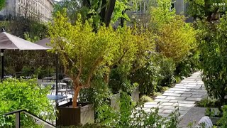 Jardin  Des paysagistes enfin reconnus [upl. by Enegue]