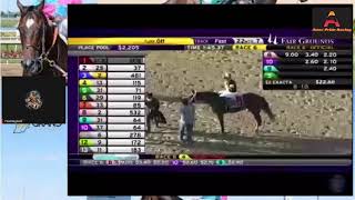 Gulfstream amp Fairgrounds Selections amp Live Stream [upl. by Nevuer]