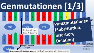 Genmutationen 13 Punktmutationen Insertion Substitution Deletion  Genetik Oberstufe [upl. by Angelo]