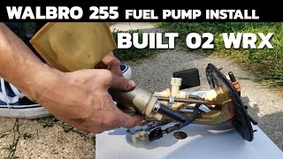 How to Install Walbro 255 Fuel Pump  Built 02 Subaru WRX [upl. by Cowan857]