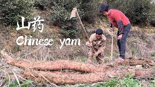 挖出一米长的大山药，阿嬷做四道山药美味，山药糕软糯香甜丨chinese yam【闽湖阿嬤FujianGrandma】 [upl. by Maharva591]