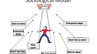 Sociological Model of Consumer Behaviour [upl. by Eenttirb]