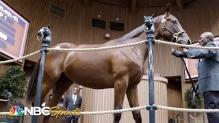 Born to Run American Pharoahs offspring go to auction begin training  PART 2  NBC Sports [upl. by Sivaj]