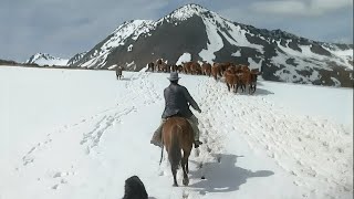 Colono en Tierra del Fuego [upl. by Rastus898]