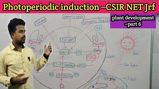 Plant development –6 Photoperiodic induction [upl. by Ob744]