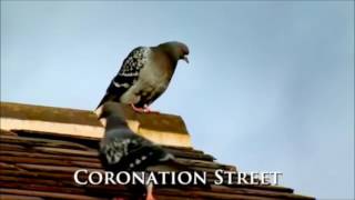 Coronation Street Title Music [upl. by Keslie]