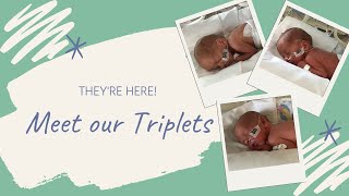 Meet Our Triplets  Name and Gender Reveal [upl. by Nnyleak]