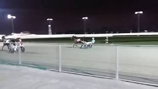 LIVE RACE HORSES AT EMPIRECITY CASINO YONKERS NEWYORK [upl. by Goerke]