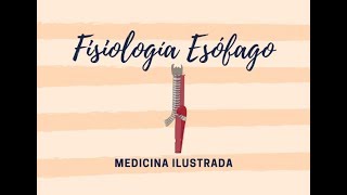 Fisiología Esófago  DISFAGIA [upl. by Walcott947]