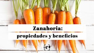 Zanahoria propiedades beneficios y valor nutricional [upl. by Nalyd]