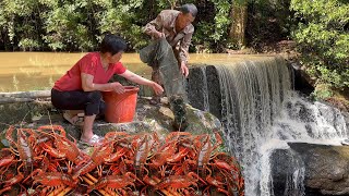 阿嬷阿公水库抓鱼，有小龙虾黄骨鱼鲇鱼泥鳅，做四道美味饱餐一顿丨catch fish【闽湖阿嬤FujianGrandma】 [upl. by Mendoza734]