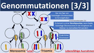 Genommutationen 33  Polyplodie Aneuploidie autosomale  gonosomale Genommutationen Genetik [upl. by Gibun]