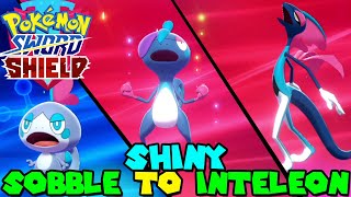 Evolving SHINY SOBBLE to SHINY INTELEON in Pokemon Sword amp Shield [upl. by Repsihw]