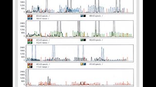 Short Tandem Repeats STR amp DNA profiling [upl. by Gabriella668]