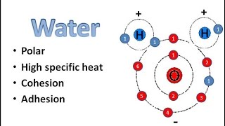 Water Chemistry [upl. by Leahcin]