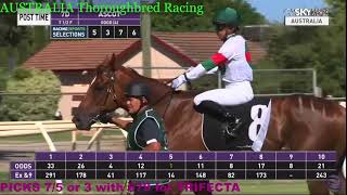 Australia Horse Racing Live Stream [upl. by Shelly66]