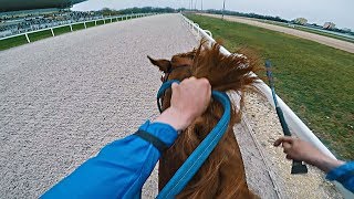 NEW RECORD 1 Place Graded 3 Race 1400 m 1257  Zwegat GER  Kincsem park Budapest  GoPro [upl. by Nywloc]