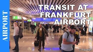 TRANSIT WALK AT FRANKFURT Airport FRA Terminal 1  Connection Flight Transfer Arriving amp Departing [upl. by Gilberta]